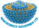 Nanoscience Industries Ltd.